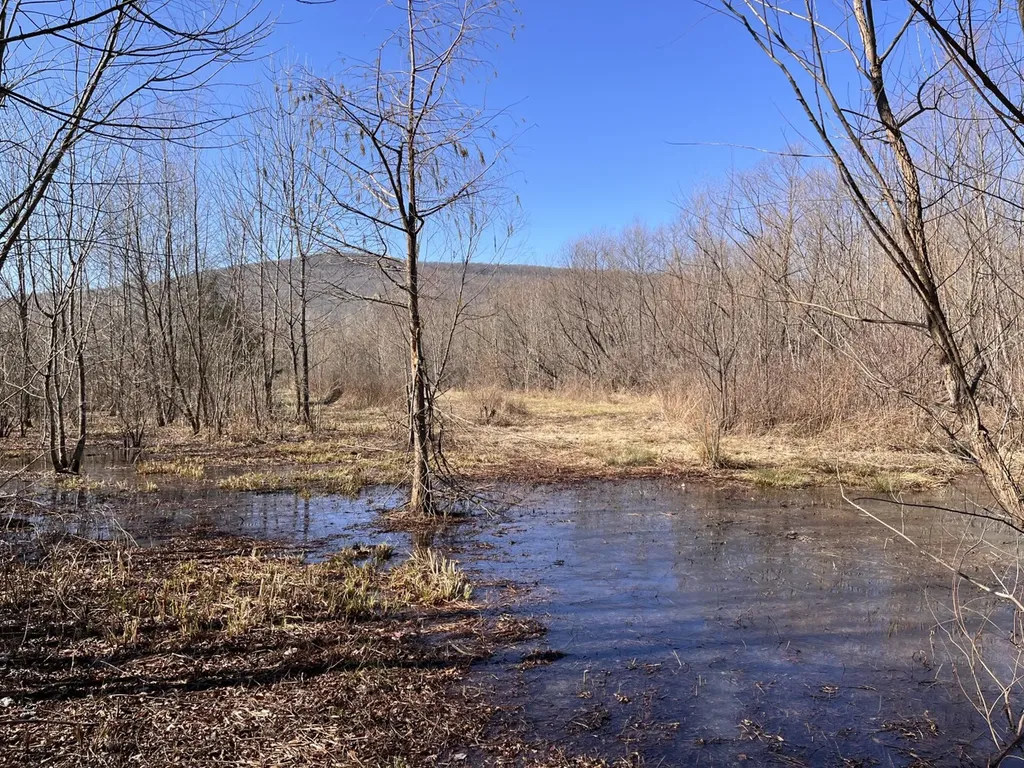 0 Co Road 65 Swaim AL 35745