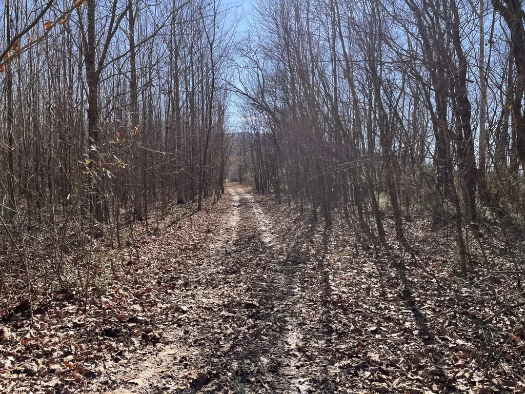 0 Co Road 65 Swaim AL 35745