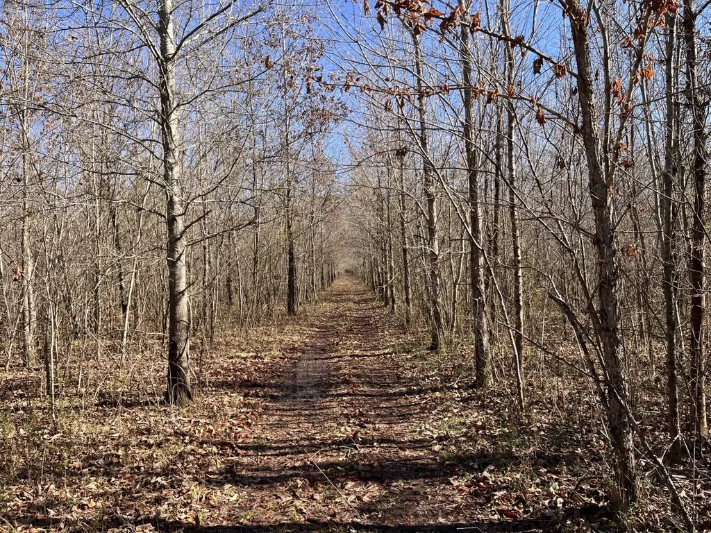 0 Co Road 65 Swaim AL 35745