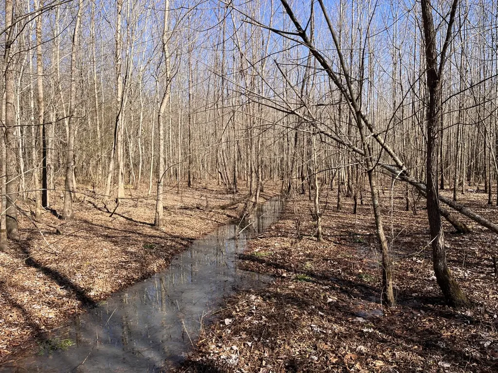 0 Co Road 65 Swaim AL 35745