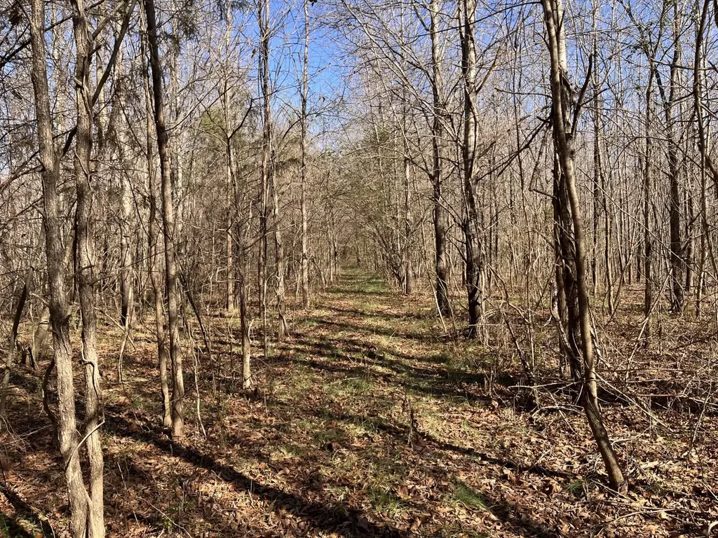 0 Co Road 65 Swaim AL 35745