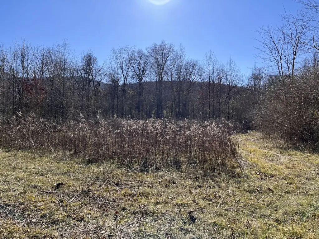0 Co Road 65 Swaim AL 35745