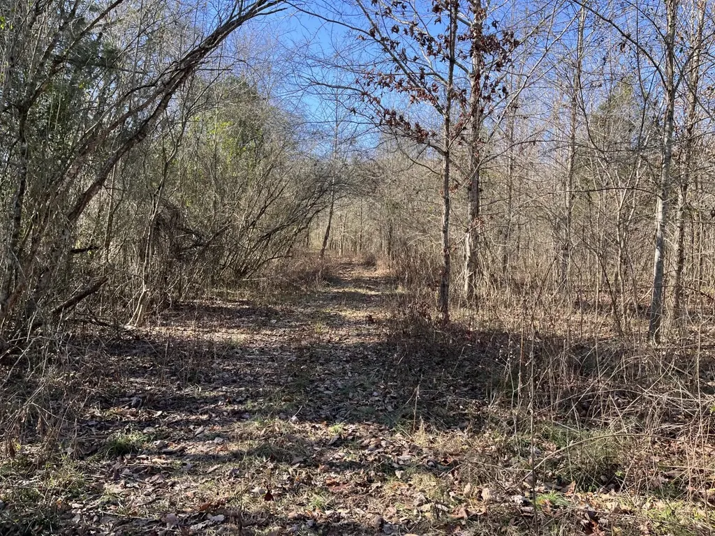 0 Co Road 65 Swaim AL 35745