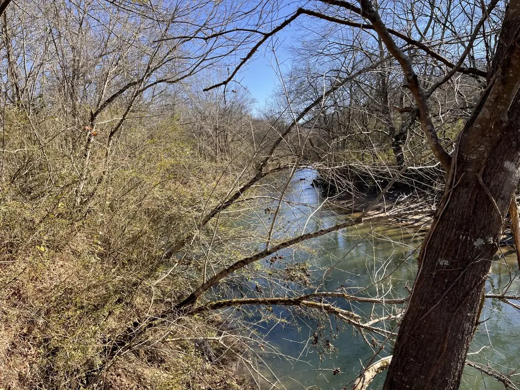 0 Co Road 65 Swaim AL 35745