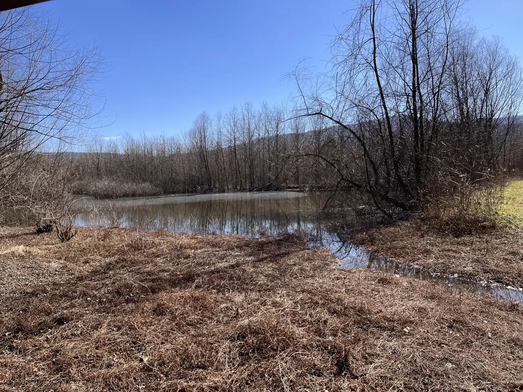0 Co Road 65 Swaim AL 35745