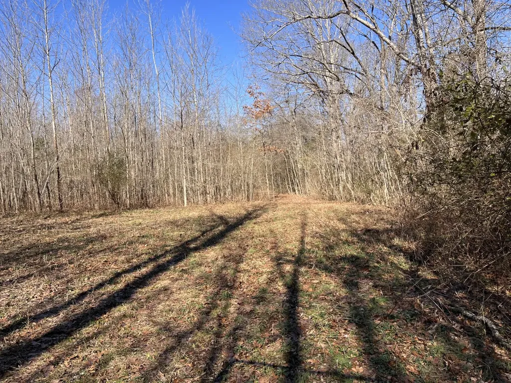 0 Co Road 65 Swaim AL 35745