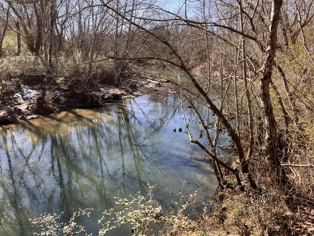 0 Co Road 65 Swaim AL 35745