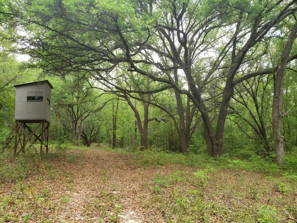 268 Jonestown Road Clio AL 36017