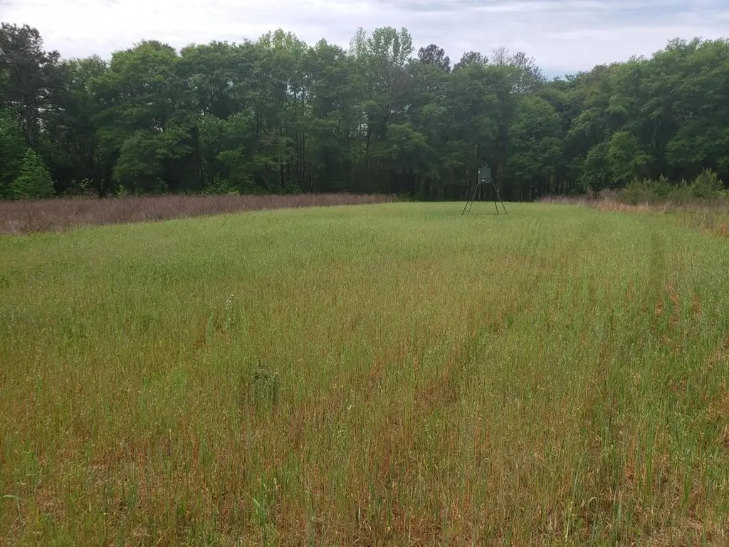 268 Jonestown Road Clio AL 36017