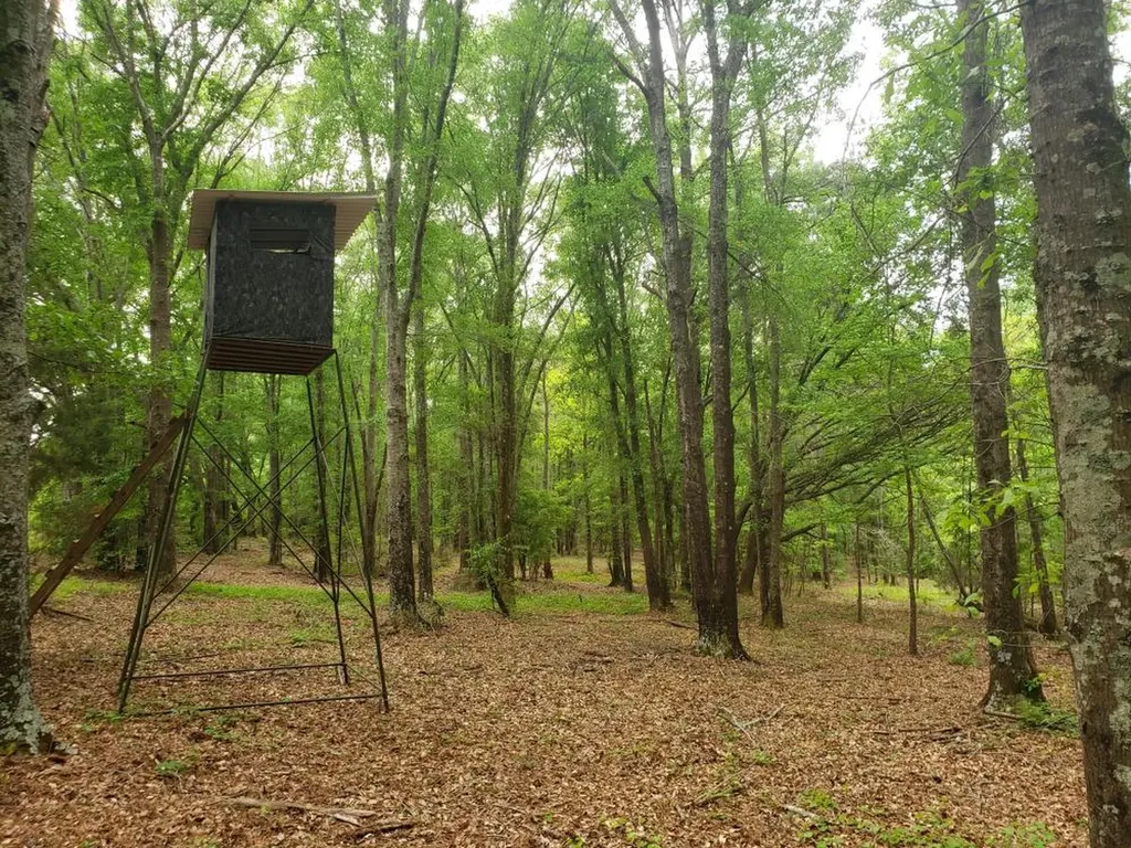 268 Jonestown Road Clio AL 36017