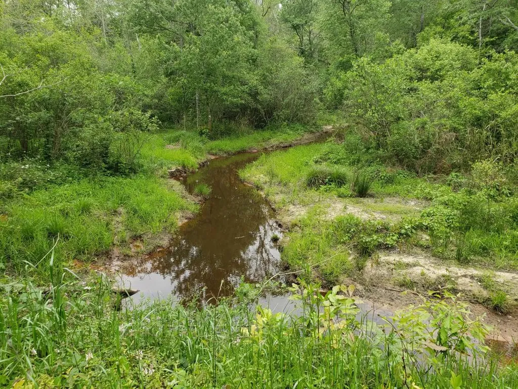 268 Jonestown Road Clio AL 36017