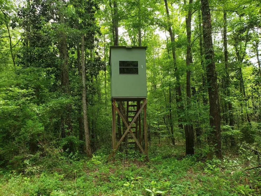 268 Jonestown Road Clio AL 36017