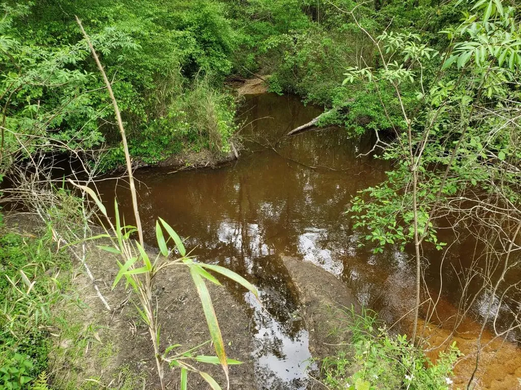 268 Jonestown Road Clio AL 36017