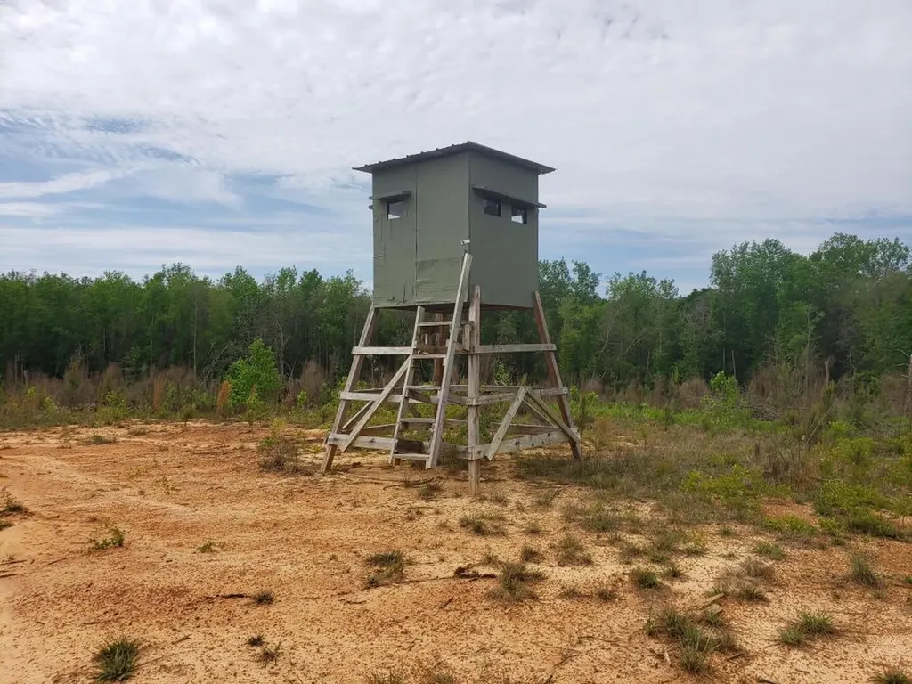 268 Jonestown Road Clio AL 36017