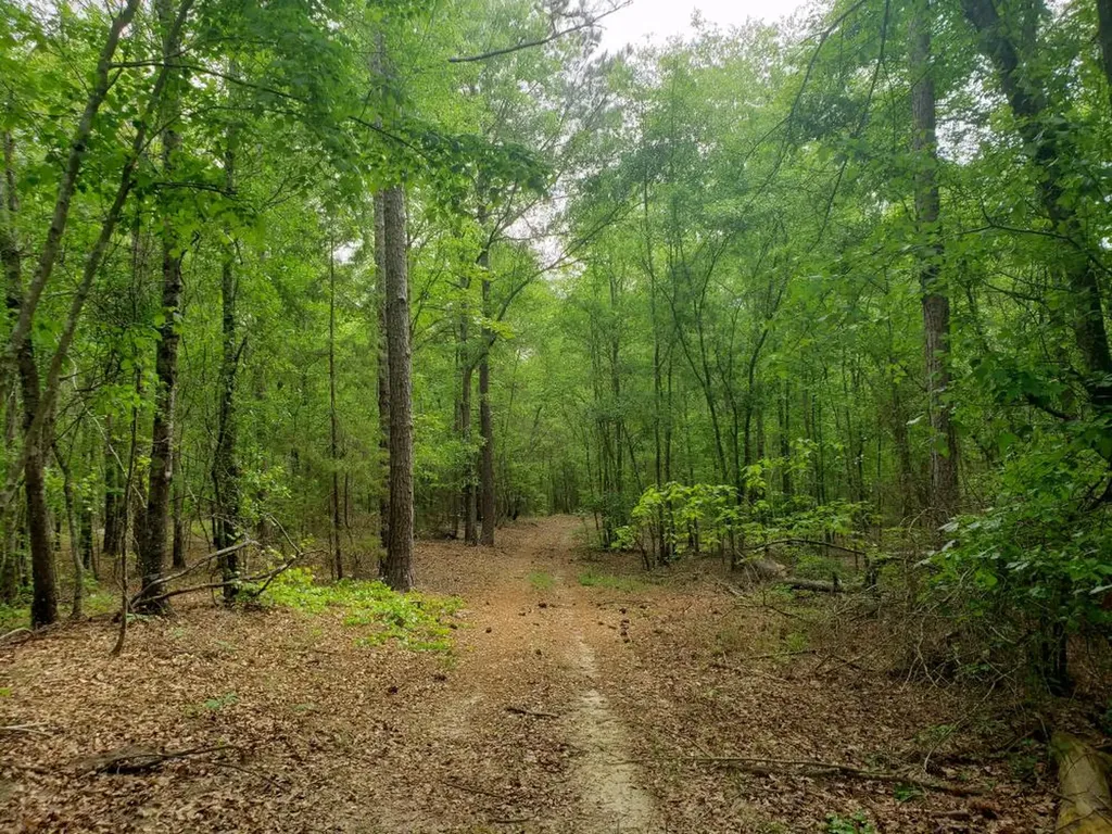 268 Jonestown Road Clio AL 36017