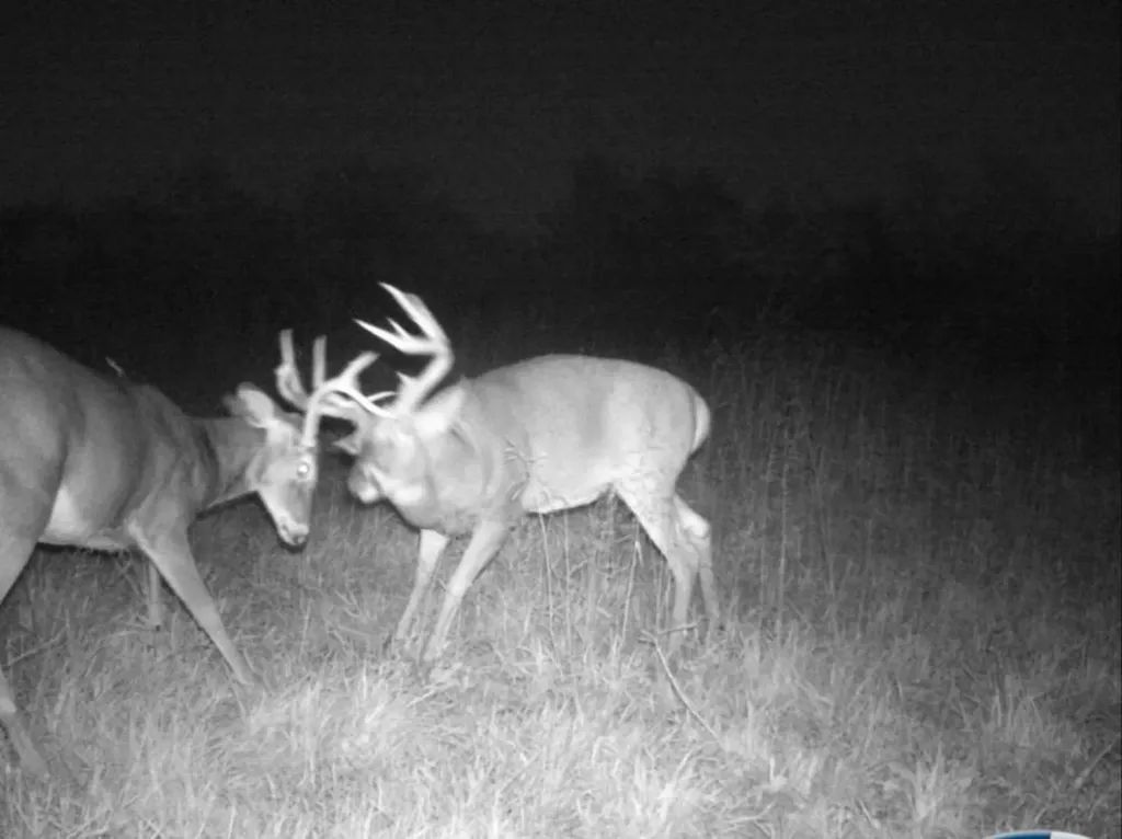 268 Jonestown Road Clio AL 36017