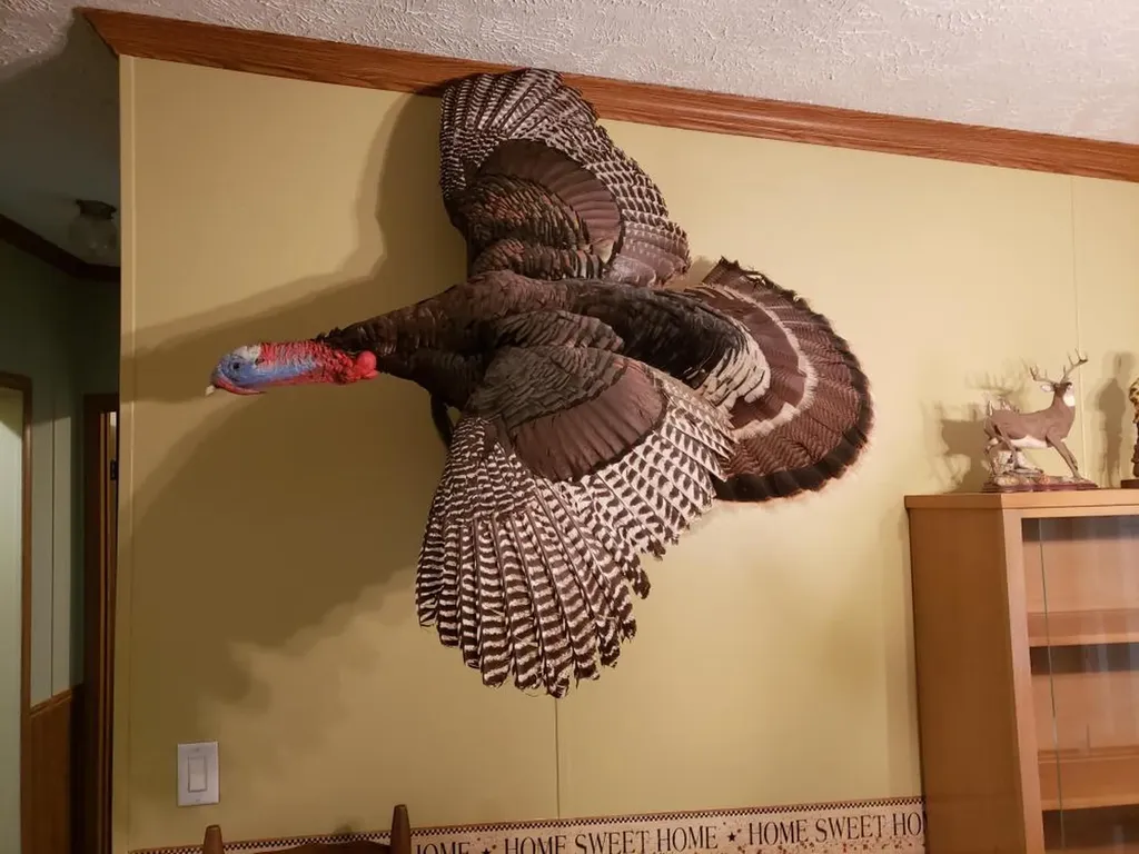 268 Jonestown Road Clio AL 36017