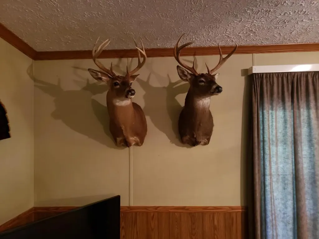 268 Jonestown Road Clio AL 36017