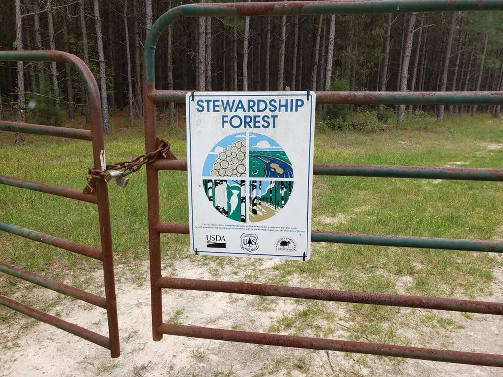 268 Jonestown Road Clio AL 36017