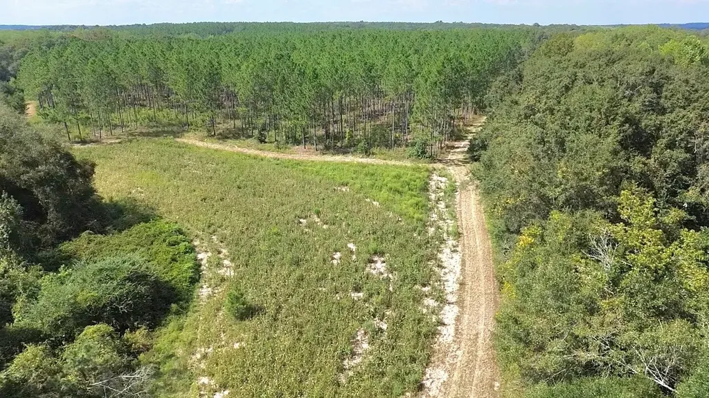 268 Jonestown Road Clio AL 36017