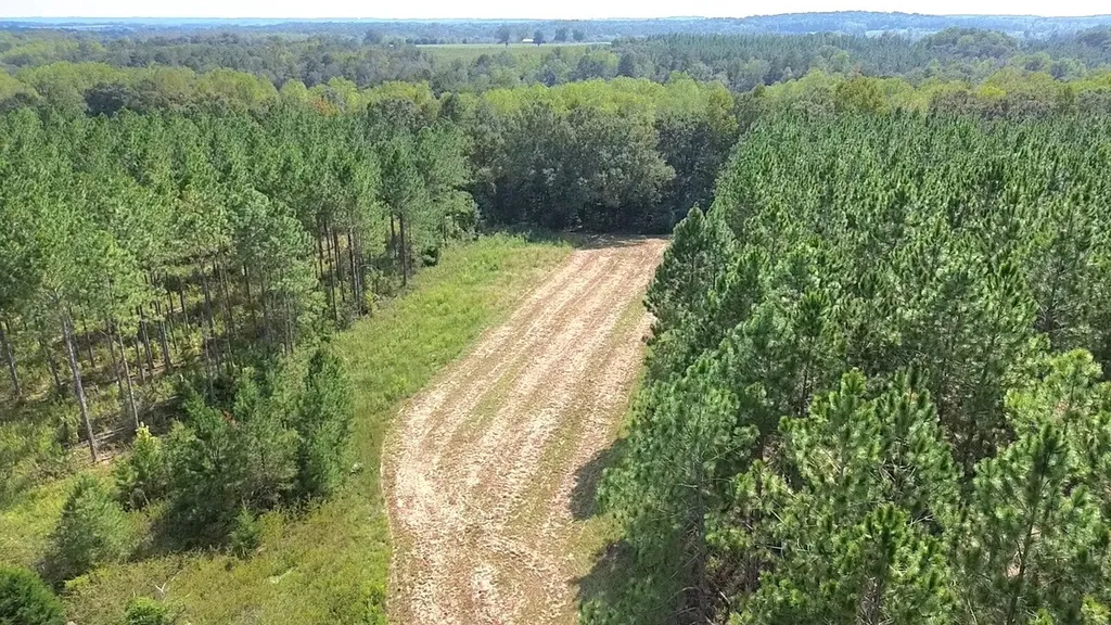 268 Jonestown Road Clio AL 36017