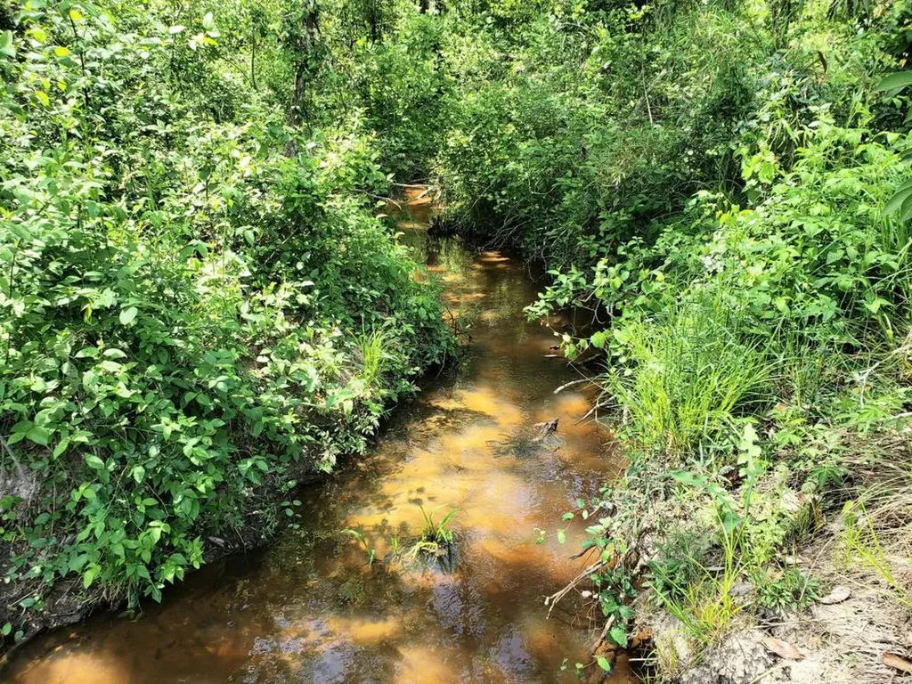 268 Jonestown Road Clio AL 36017