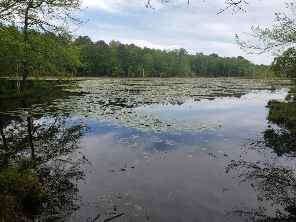 268 Jonestown Road Clio AL 36017