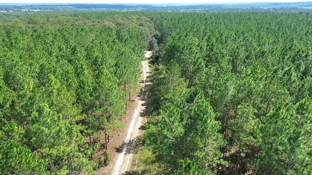 268 Jonestown Road Clio AL 36017