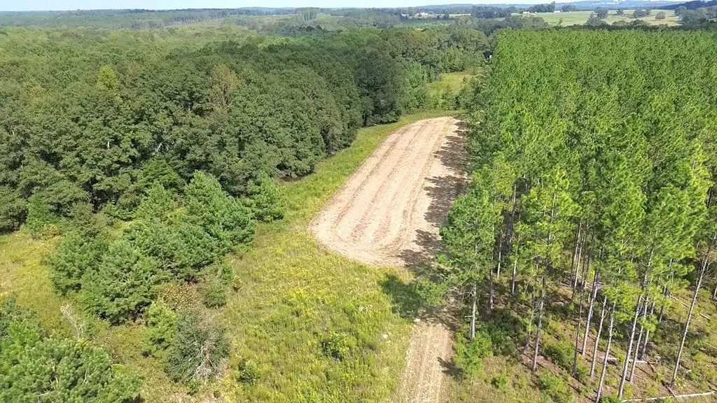 268 Jonestown Road Clio AL 36017