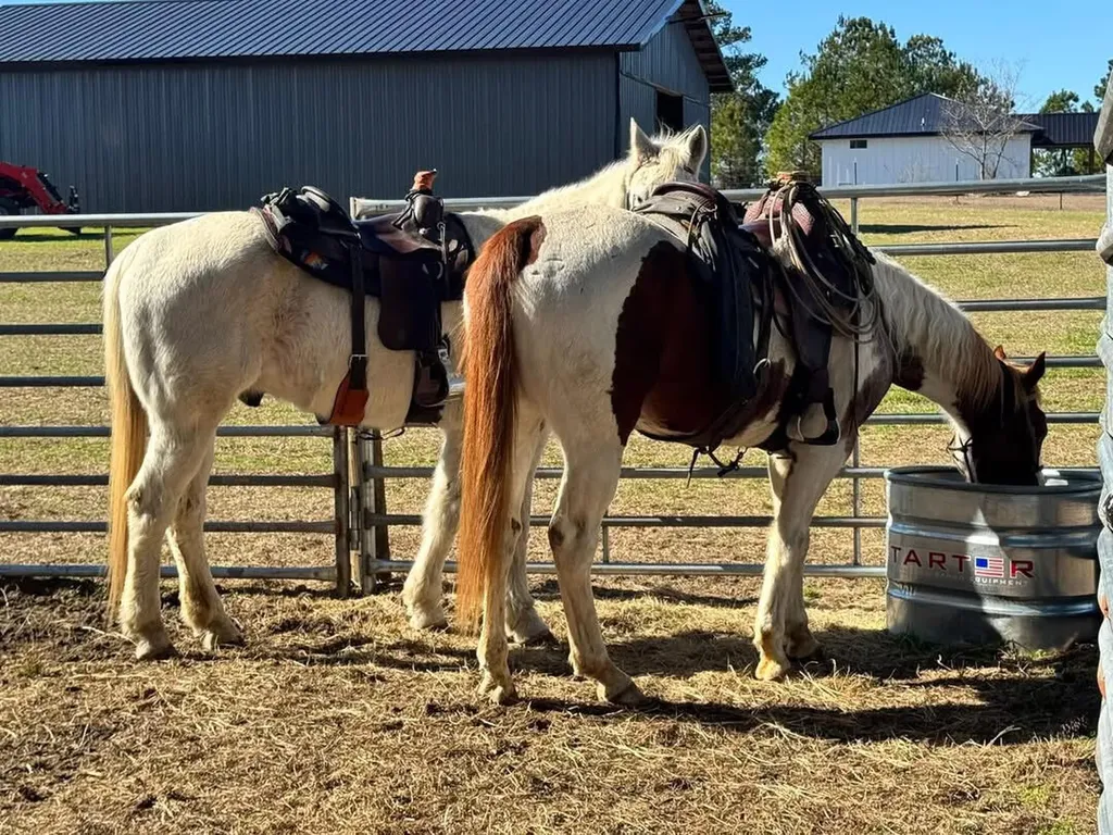 1630 Cr-24 Auburn AL 36830