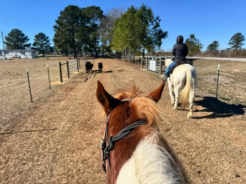 1630 Cr-24 Auburn AL 36830