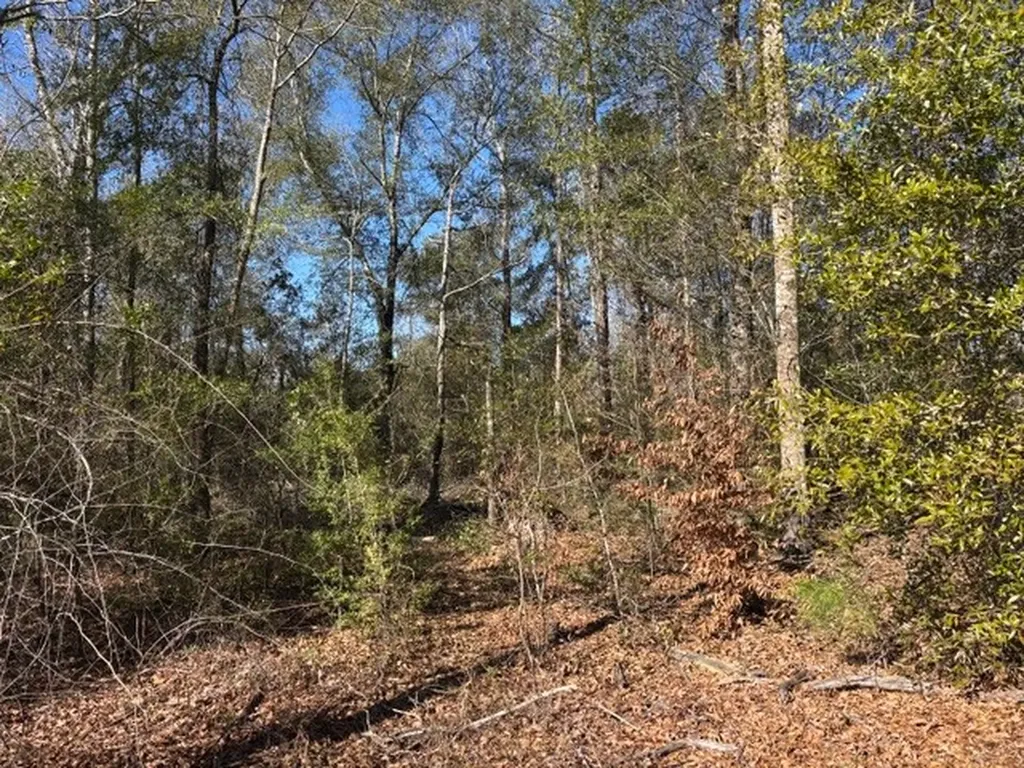0 County Road 83 Jones AL 36749