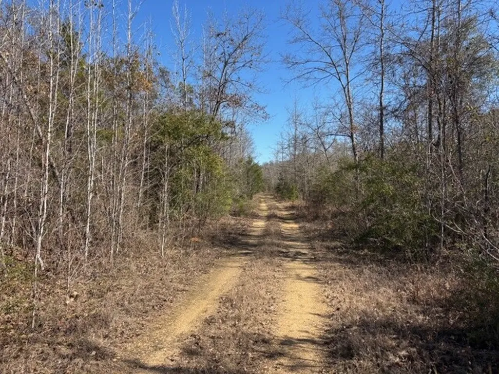 0 County Road 83 Jones AL 36749