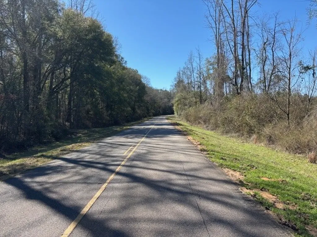 0 County Road 83 Jones AL 36749