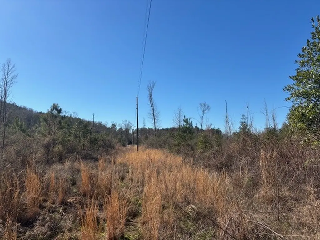 0 County Road 83 Jones AL 36749