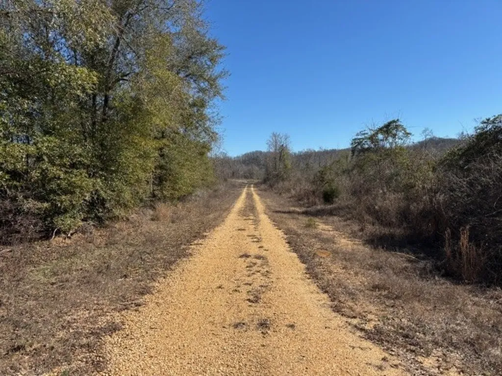 0 County Road 83 Jones AL 36749