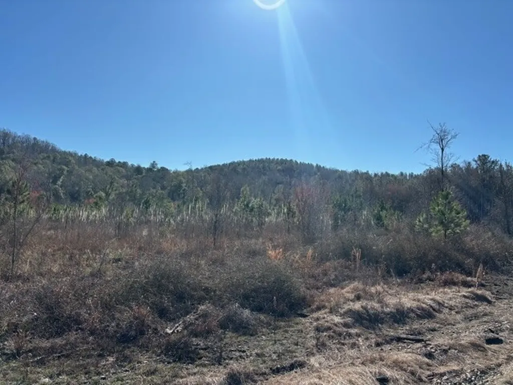 0 County Road 83 Jones AL 36749