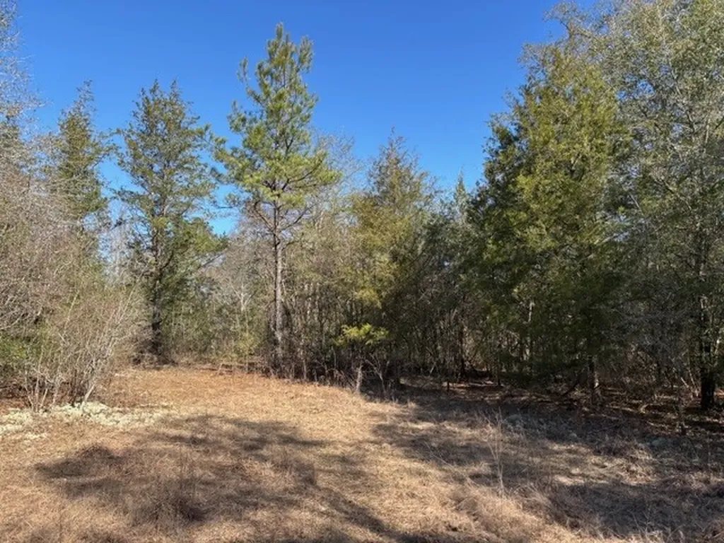 0 County Road 83 Jones AL 36749
