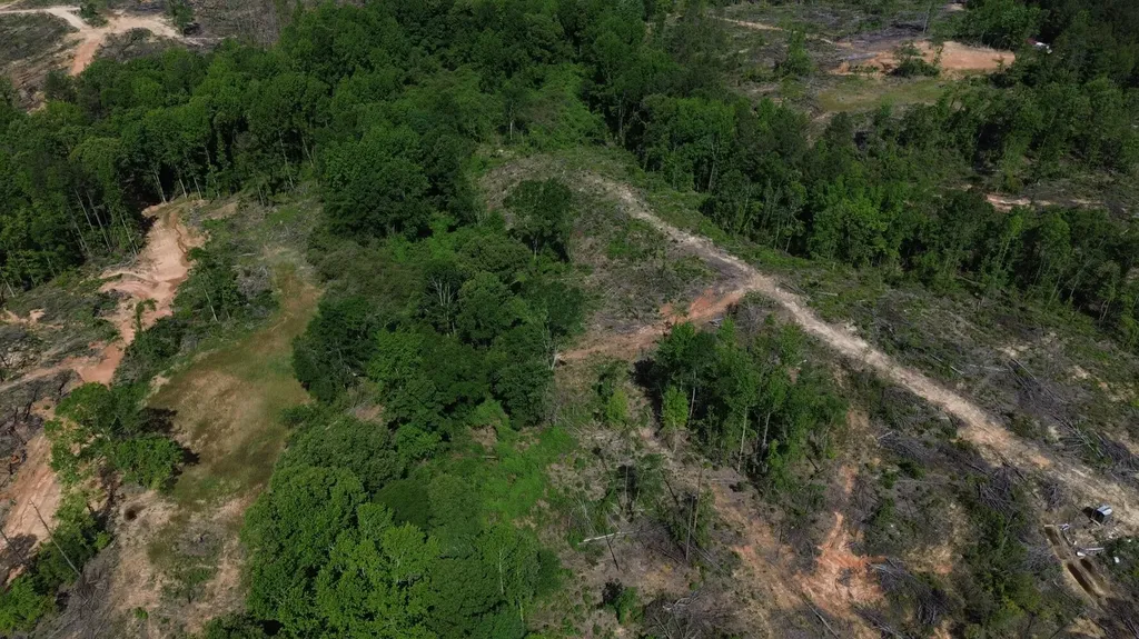 0 Tree Farm Road Sulligent AL 35586