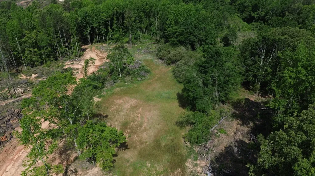 0 Tree Farm Road Sulligent AL 35586