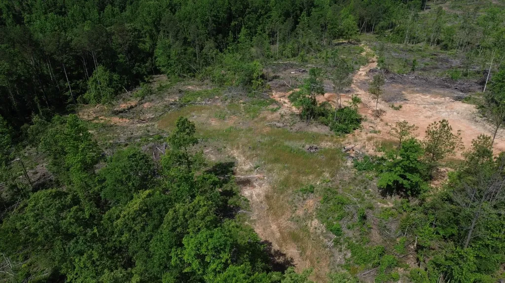 0 Tree Farm Road Sulligent AL 35586