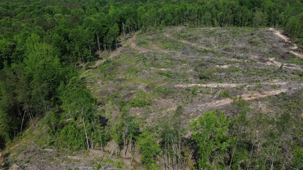 0 Tree Farm Road Sulligent AL 35586