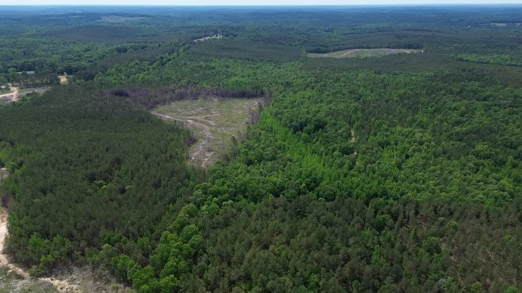 0 Tree Farm Road Sulligent AL 35586