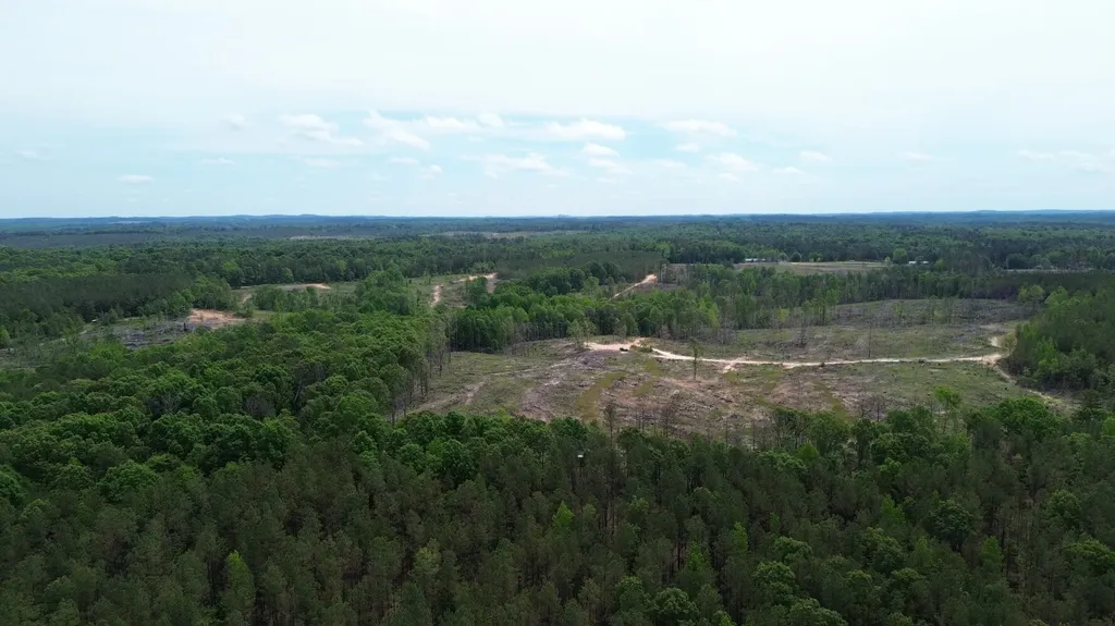 0 Tree Farm Road Sulligent AL 35586