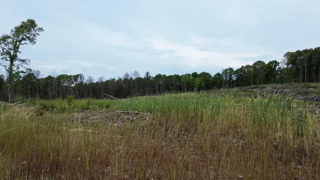 0 Tree Farm Road Sulligent AL 35586