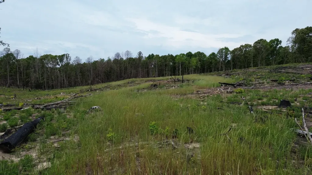 0 Tree Farm Road Sulligent AL 35586