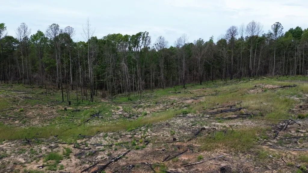 0 Tree Farm Road Sulligent AL 35586
