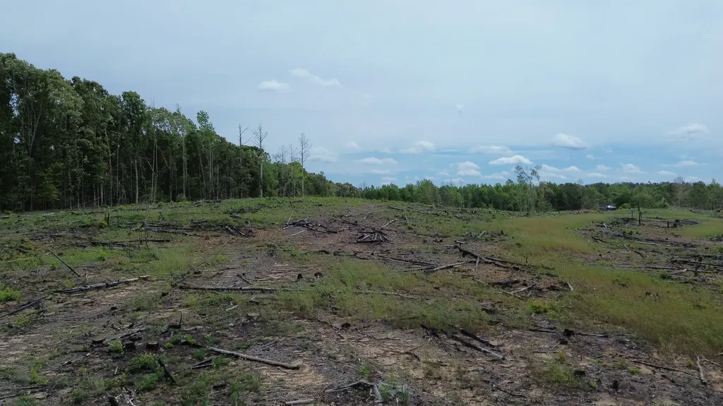 0 Tree Farm Road Sulligent AL 35586