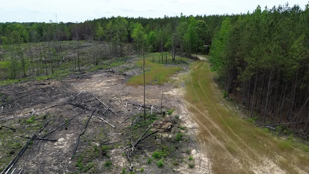0 Tree Farm Road Sulligent AL 35586