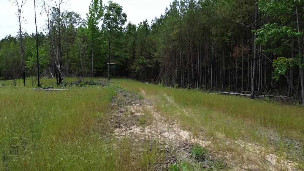 0 Tree Farm Road Sulligent AL 35586
